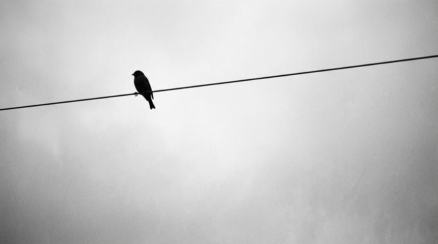 News still 2 for Blackops Market desk