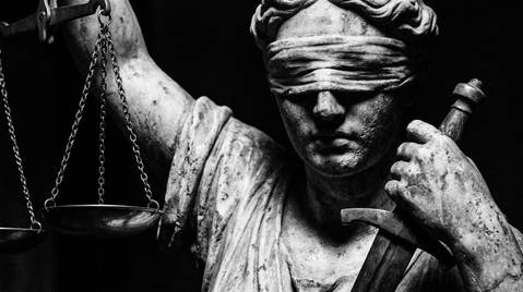 Feature still for Law & policy