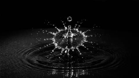 Feature still for Harm context