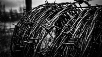 Thumbnail for Wallet checksum warnings went viral